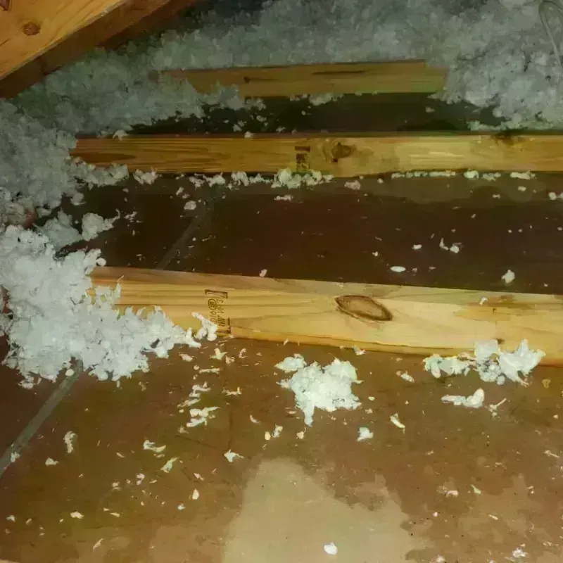 Attic Water Damage in Renton, WA