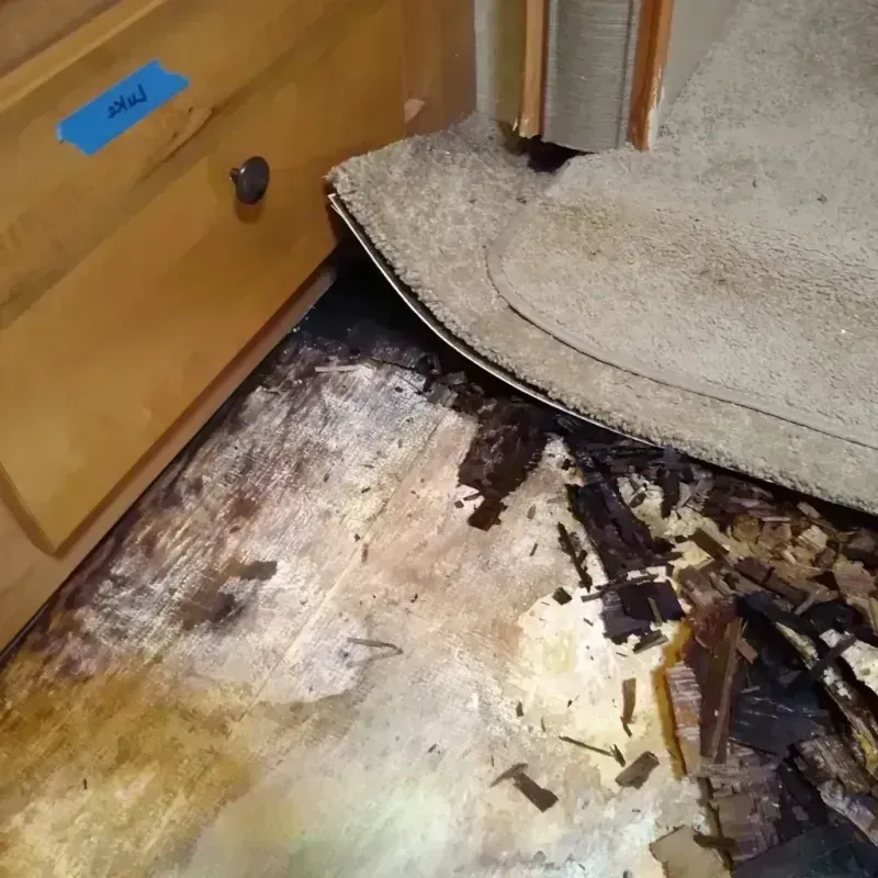 Wood Floor Water Damage in Renton, WA